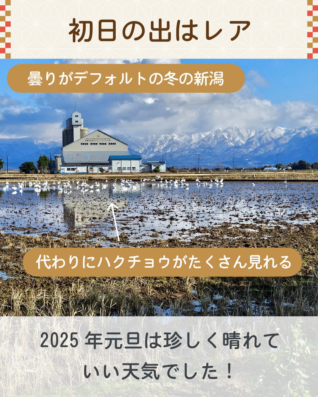 新潟の正月